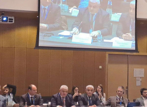 ՆԳՆ ոստիկանության պետ-ներքին գործերի նախարարի տեղակալը ելույթ է ունեցել Հաագայում կայացած ֆորումին
