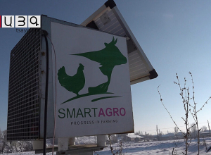 Անունը կա, ամանումը՝ չկա. Շիրակի մարզում հիմնված խելացի անասնագոմերը չեն աշխատում