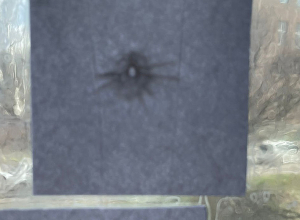 Նոր Նորք վարչական շրջանի ղեկավարի նստավայրի շենքի ուղղությամբ կրակոցներ արձակած անձը հայտնաբերվել է (լուսանկարներ)