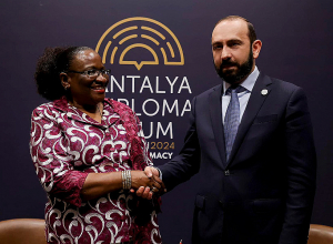 Արարատ Միրզոյանը հանդիպում է ունեցել Մոզամբիկի արտաքին գործերի նախարարի հետ