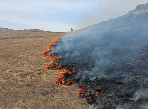 Ուռուտ գյուղում այրվել է մոտ 50 հա խոտածածկույթ