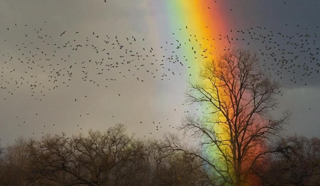 431075046_7539628022767048_1645351672140617688_n