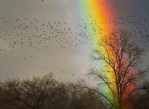 Սուրենյանը նոր լուսանկար է հրապարակել