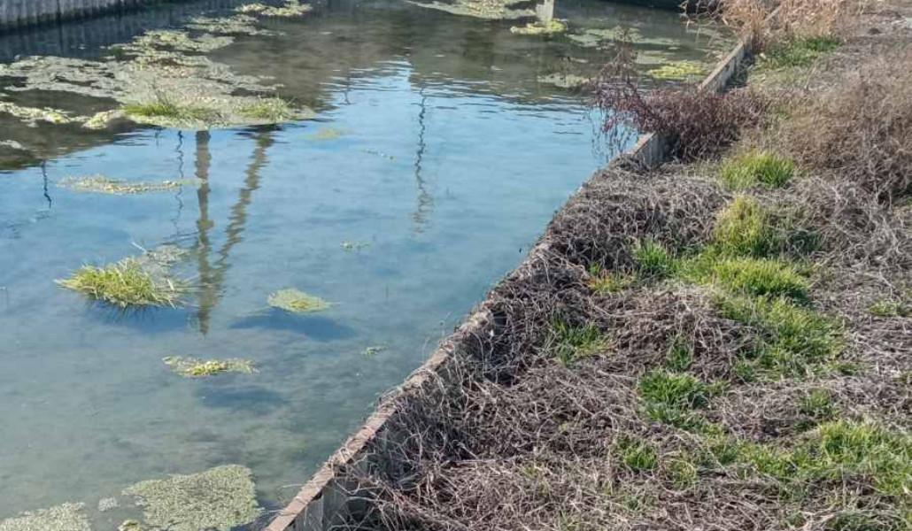 417465180_817786180378405_5557952090472357828_n