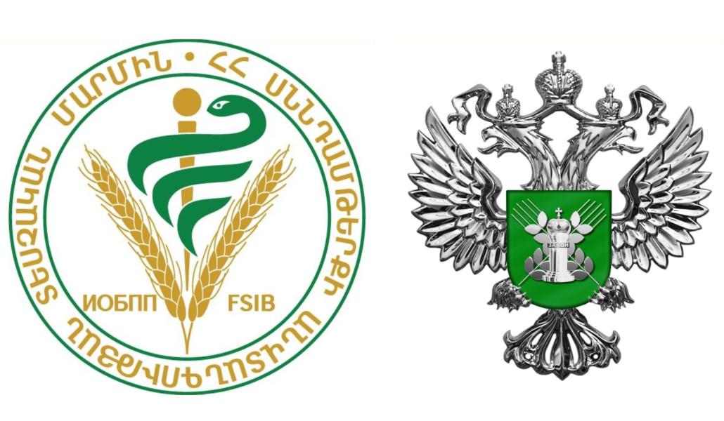 431047869_790986886399032_4411366449454825919_n