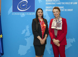 Պաշտպանը ԵԽ գլխավոր քարտուղարին է ներկայացրել ԼՂ-ից բռնի տեղահանված անձանց իրավունքների պաշտպանությանն առնչվող հարցեր