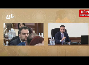 Ի՞նչ լեզվով Ձեզ բացատրենք, գուցե ճապոներե՞ն՝ հաշվի առնելով ձեր կապը ծառատեսակի հետ