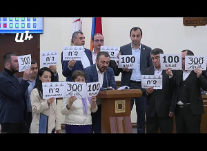 Ստվերը բացառեք, թանկացնելու կարիք չի լինի․ Մայր Հայաստանի ակցիան դահլիճում