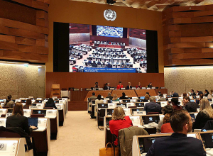 Հայաստանը շարունակաբար ջանքեր է գործադրել 2 համաշխարհային հռչակագրերի նպատակներին հասնելու համար․ Արմեն Ղազարյան