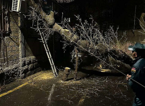 Շենքերից մեկի բակում ծառ է ընկել ավտոմեքենայի վրա