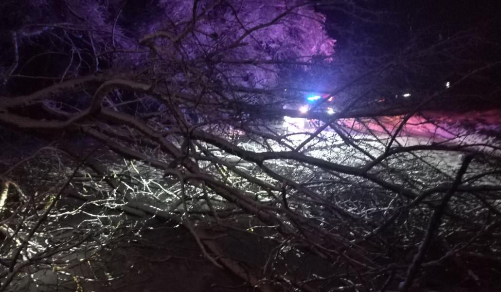 433902373_376370165359092_5665659380828581817_n