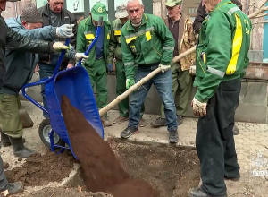 Ըստ քաղաքապետարանի՝ Թումանյան փողոցում ծառերը ծեր էին ու վթարային