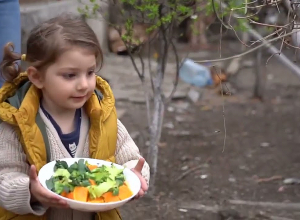 ԼՂ-ից բռնի տեղահանված 23-ամյա Էլինա Բալասանյանը փոքրիկ թռչնաբուծական ֆերմա է հիմնել