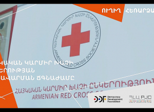 Հայկական Կարմիր խաչի ընկերության կառավարման ճգնաժամը.ՈԻՂԻՂ