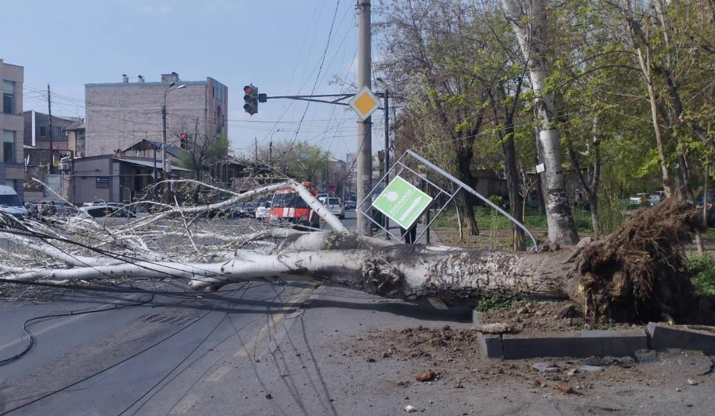 436815796_389271900735585_2303804073521053449_n