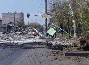 Խորենացու փողոցում բարդին կոտրվել է և մի մասով ընկել էլեկտրական լարերի վրա