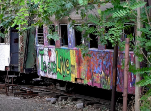 Այդպես էլ չկարողացանք ստանալ տեղական իշխանություններից անհրաժեշտ հավանությունը․ «ՌԻԴ» ընկերությունը հրաժարվել է մանկական երկաթուղու վերակառուցման ծրագրից