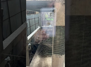 Կառուցապատողը անտեսում է դատարանի արգելքը.  շինարարությունը վերսկսվել է. Օրրան