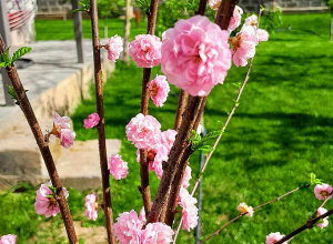 Օդի ջերմաստիճանը կբարձրանա