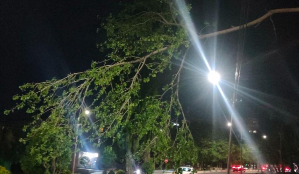 437549882_397680316561410_7565195177206872275_n