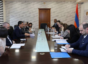 ՀՀ ԿԳՄՍ նախարարի տեղակալը Վենետիկի հանձնաժողովի ներկայացուցիչների հետ քննարկել է «Ազգային փոքրամասնությունների մասին» օրենքի նախագիծը