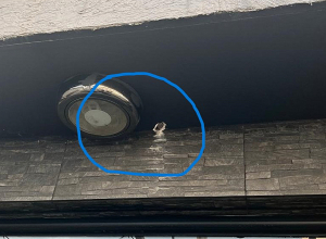 Զենքի գործադրմամբ խուլիգանություն՝ Ամերիկյան համալսարանի մոտ. նախաձեռնվել է քրեական վարույթ