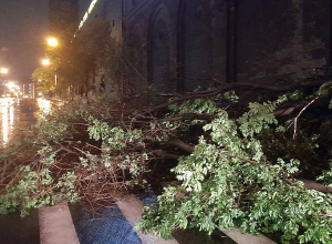 Երևանի քաղաքապետարանի մոտակայքում ծառը ընկել է էլեկտրական լարերի վրա և մասամբ փակել ճանապարհի երթևեկելի հատվածը