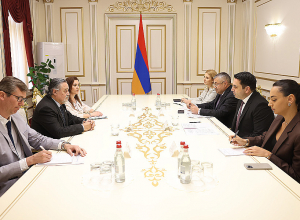 Հայաստանն անում է ամեն բան տարածաշրջանում խաղաղության հաստատման համար․ Ալեն Սիմոնյանը՝ Արգենտինայի դեսպանին