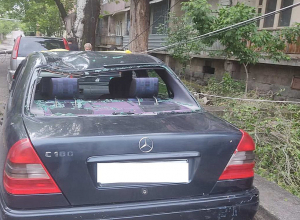 Քամուց պոկված սյուներ, ծառի ճյուղեր