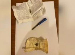 Հանրահավաքի մասնակցի մոտ թմրանյութ է հայտնաբերվել․ Ոստիկանություն