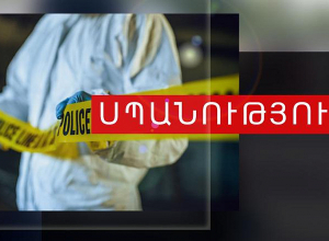 27-ամյա կինը հող փխրեցնելու բրիչով հարվածներ է հասցրել Լևոն Խ.-ի գլխին և սպանել