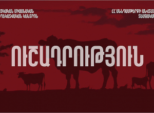 Անկած կենդանիներ նկատելու դեպքում այդ մասին տեղեկացրեք․ ՈՒՇԱԴՐՈՒԹՅՈՒՆ