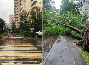 Сильный ураган в Москве: есть погибшие и раненые