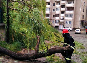 Վնասներ՝ քամու հետևանքով (լուսանկարներ)