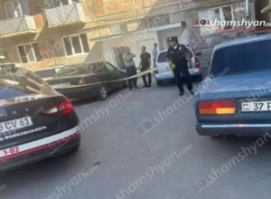 «Մի կաթիլ մեղրի պատմություն»՝ Վեդիում. դանակահարված տղամարդը հիվանդանոցում մահացել է