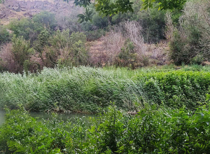 Օդի ջերմաստիճանն աստիճանաբար կնվազի