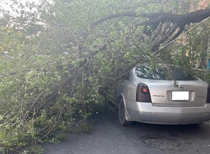 Ծառը կոտրվել և ընկել է ավտոմեքենայի վրա