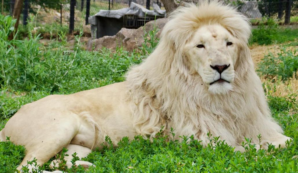 451981991_18039791146940262_7135423228984904345_n