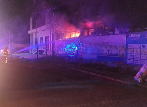 Հրդեհ Վեդիի շինանյութի խանութում