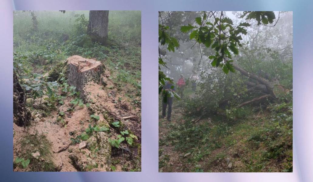 Untitled Design (13)