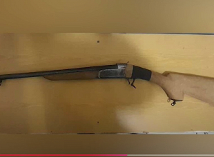 Շների վրա կրակած տղամարդը ներկայացել է Արթիկի բաժին