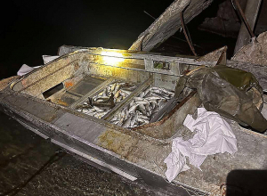 Սևանա լճից 470կգ սիգի ձկնագողությունը կանխվել է