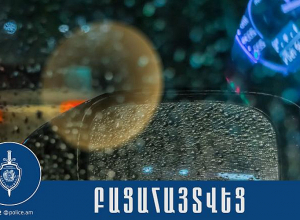 Ամուսինները գողացել էին տոնական խաղալիքներ