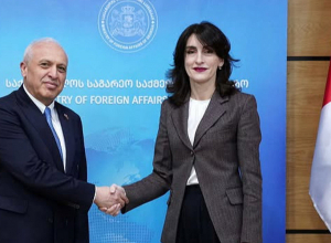 Վրաստանի ԱԳ նախարարն ընդունել է ՀՀ դեսպանին