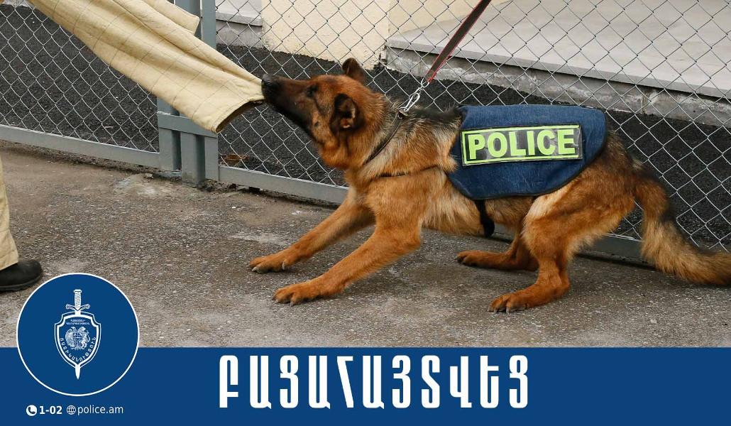 476386083_1002014725285213_7501660545807079983_n