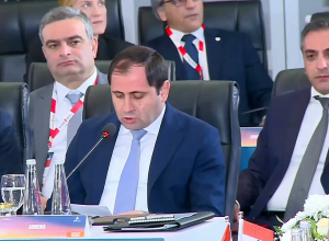 Папикян выступил на конклаве министров обороны Индии