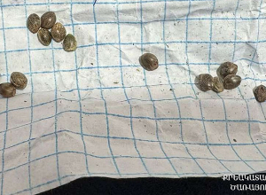 «Արմավիր» ՔԿՀ ծառայողները տեսակցության եկած քաղաքացու մոտից հայտնաբերել են կանեփի սերմնահատիկներ