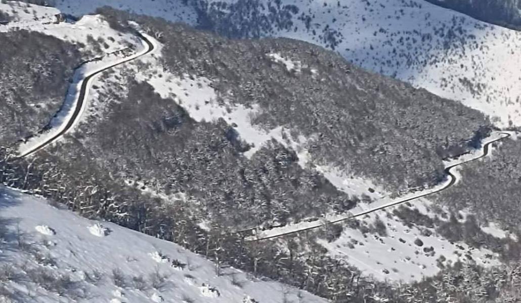 photo_2025-02-15_17-06-11