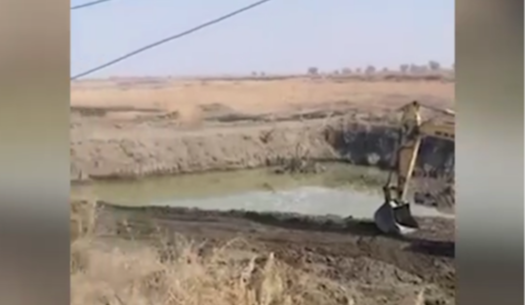 Screenshot 2025-02-24 172002