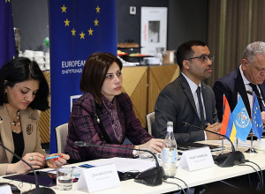 Հոգեկան առողջությունը, կրթական բարեփոխումներն ու բուժանձնակազմի մասնագիտական ունակությունների կատարելագործումը մեր առաջնահերթություններից են․ Ավանեսյան